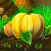 Hidden Objects Game :
