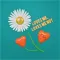 Loves Me, Loves Me Not Test