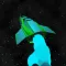 Space Striker