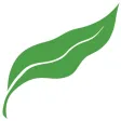 Davis Tree Farm