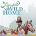 Lincoln's Wild Home
