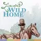 Lincoln's Wild Home