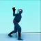Ninja Deflector