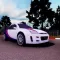 RallyMaster 3D
