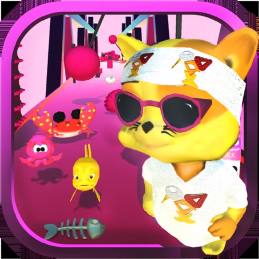 i Meow Cat Runner