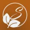 Spice It - Learn flavours
