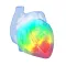 Epicardio Heart Simulator