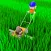 Grass Master