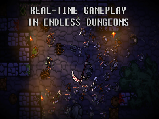 Pocket Rogues: Ultimate iPad  سکرین شاٹس