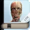 Explain 3D: Human body LITE
