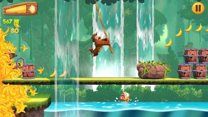 تصاویر Banana Kong 2