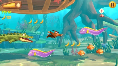 تصاویر Banana Kong 2