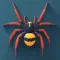 Spider Identification