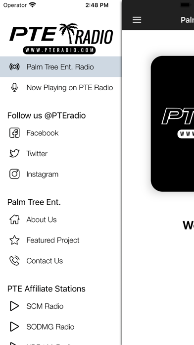 Capturas de tela do Palm Tree Ent. Radio