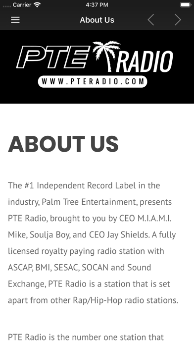 Capturas de tela do Palm Tree Ent. Radio