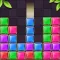 Block Puzzle Premium