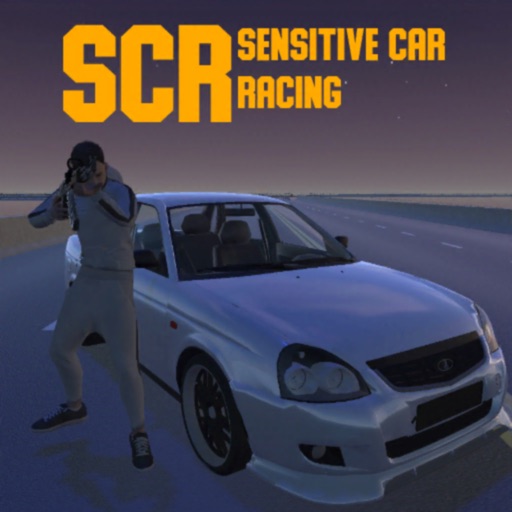 Sensitive Car Racing Sensitive Car Racing