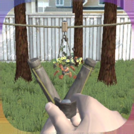 Slingshot Master Slingshot Master