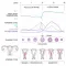Basal Body Temperature Calc.