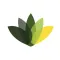 Go Green Solar App