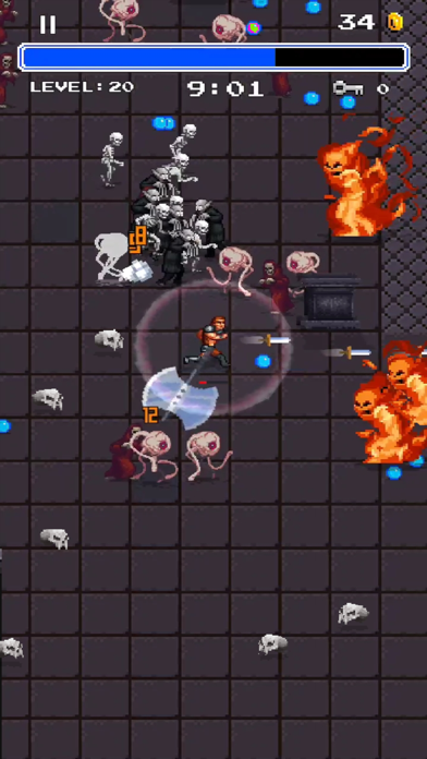 ภาพหน้าจอของ Grimnight Heroes: Survivors