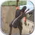 Ninja Samurai Assassin Hero II