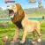 Lion Simulator - Animal Games