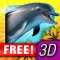 Dolphin Paradise: Wild Friends