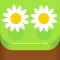 Flower Shop Idle