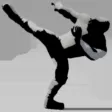 Hyper Wrestler