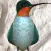 HelenaHummingbirdAR