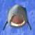 Shark  Countdown
