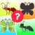 Insects World Puzzles