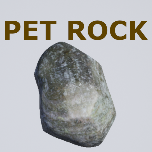 MyPetRock