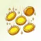 Pushing Coins