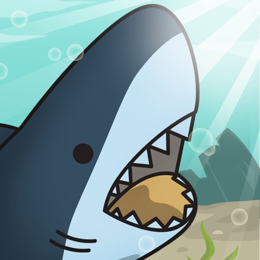 Great White Shark Evolution Great White Shark Evolution