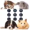 Calculator Pets HD