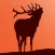 Elk Calls & GPX