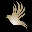 Dove Calls - Song and Decoy Dove Calls - Song and Decoy