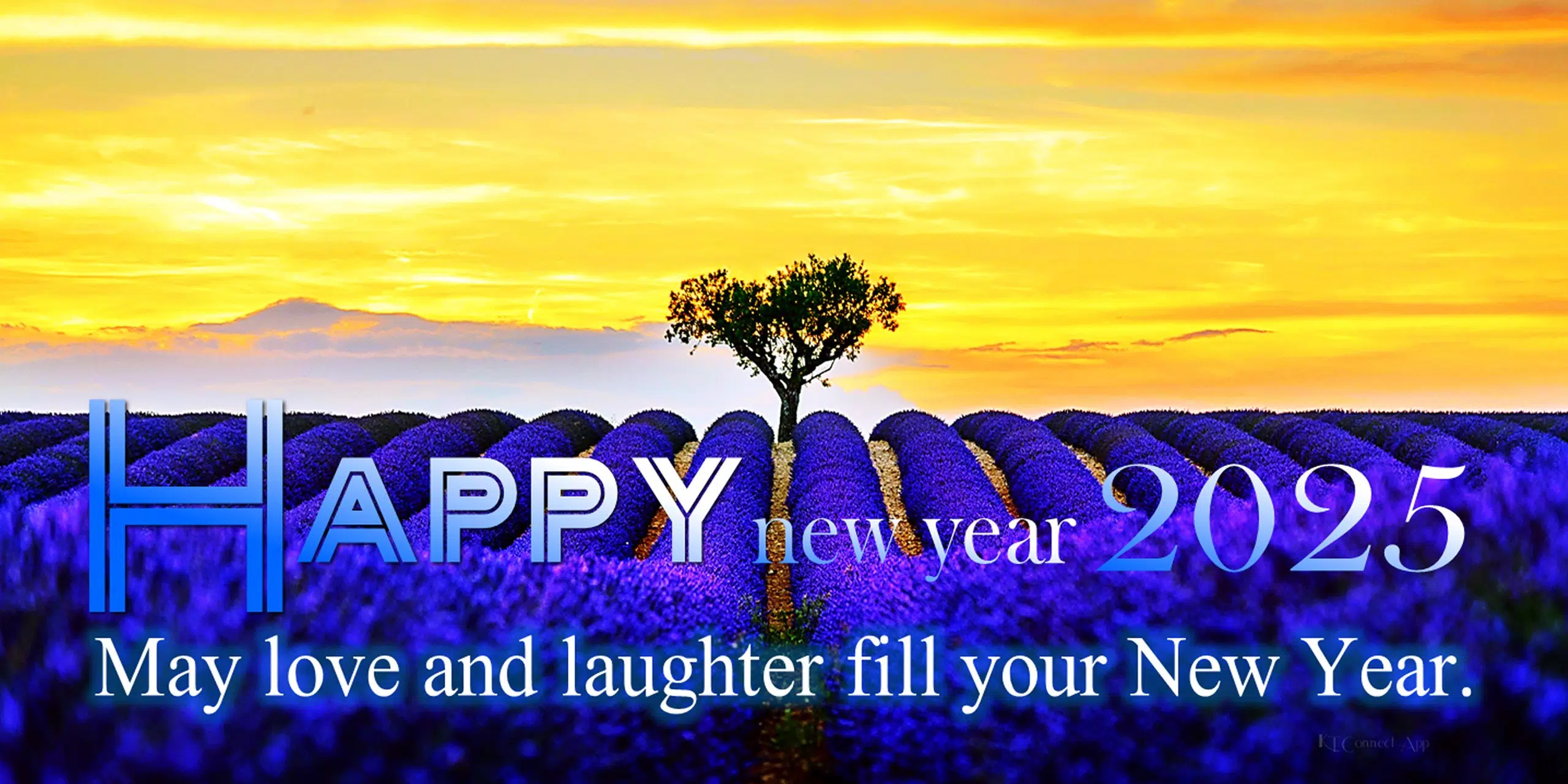 Happy new year 2025 Cards Screenshots