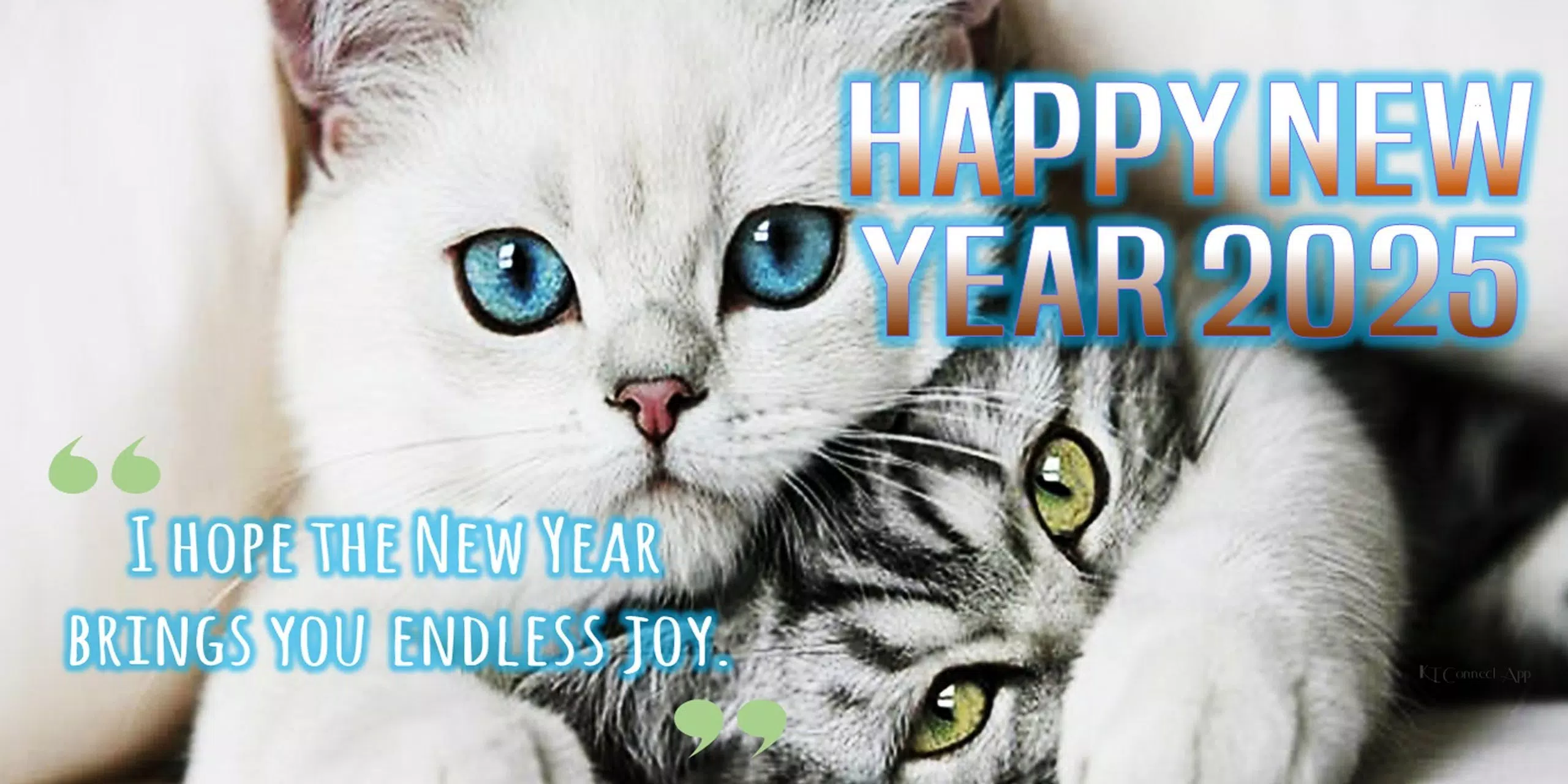 Happy new year 2025 Cards Screenshots