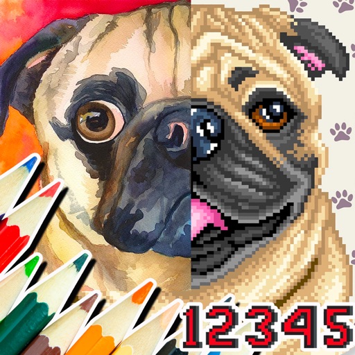 Paint By Number : Pixel Art Paint By Number : Pixel Art