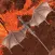 Dragon Flight Simulator Games