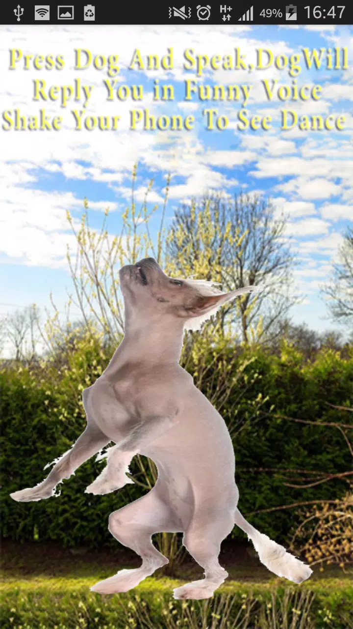 Talking-Dancing Dog Screenshots