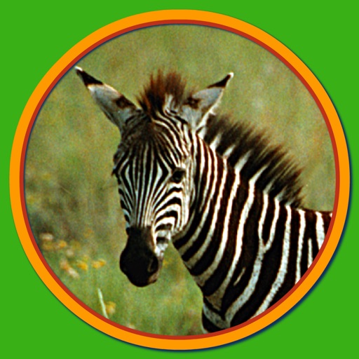 Wild, Woolly, …Critters Wild, Woolly, …Critters