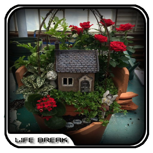 Fairy Garden Pot Design