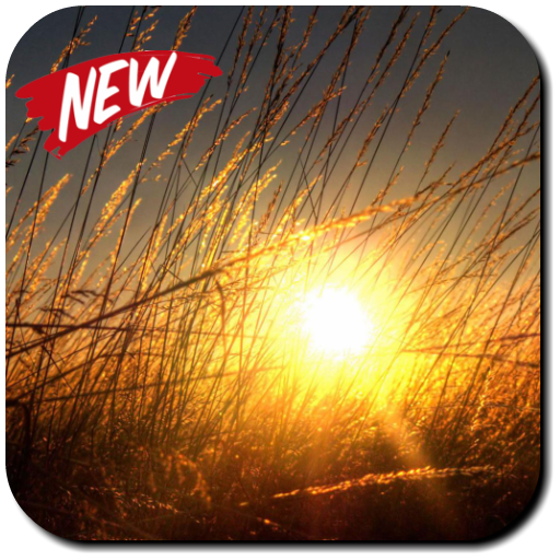 Sun Wallpapers
