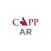 Energy Examined AR
