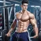 Gym Life - Workout Simulator