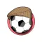 ManagerBall